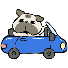 ぱぐさんの感情豊かな日常