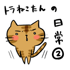 No.2 Everyday life of a brown tiger cat.