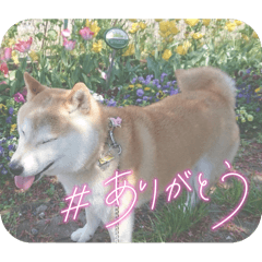 may_20250716073905