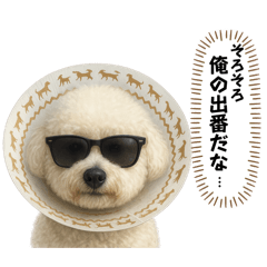 MAKI_20250716130839
