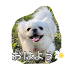 pyon_20250716132106