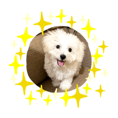 可愛的寶寶20250716