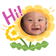 江 豆豆龍