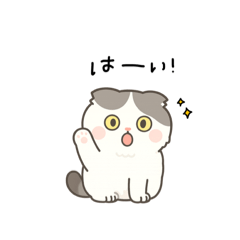 yuka_20250716075628