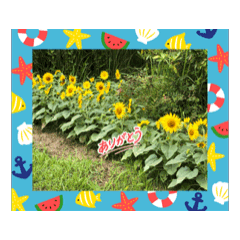 YUKIE_20250716163518