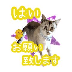 monroe_20250716153547