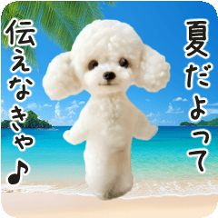 Summer Eh Eh Eh! Toy poodle