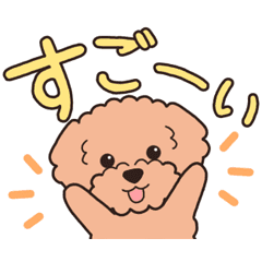 Dog sticker.#11Toy Poodle(Apricot)