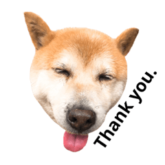ichikun.