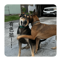 米克斯姐弟