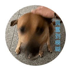 狗勾の日常～