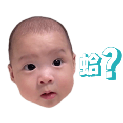 我是鄭點，我媽最正點