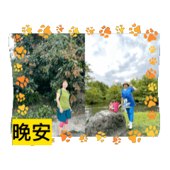 蒸水港