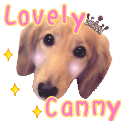 Cammy-My sweet baby