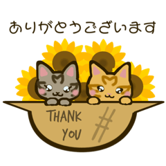 Amour_20250716190600