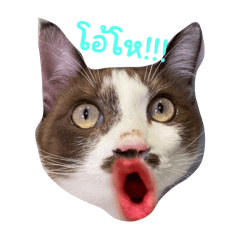 PPraphangg_20250716214603