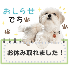 こいもとこつぶのごあいさつ1