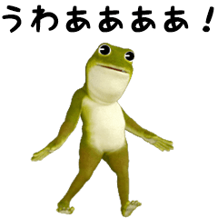 Animated Frog(K)