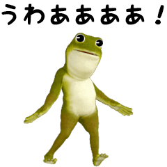 Animated Frog(K)