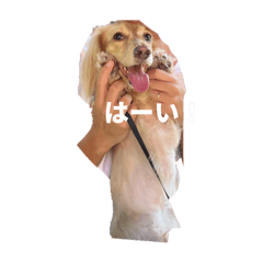 hahaha_20250715120954