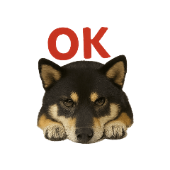 march_20250716140209