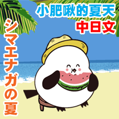 小肥啾的夏威夷生活　中日文版