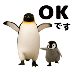 動く！ペンギン親子