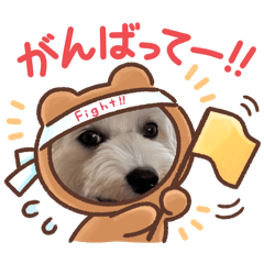 roppu_20250716142853