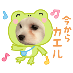 himasaku_20250716185535