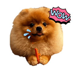 Mawwan_20250717094223