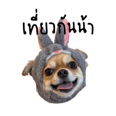 chris_20250717100009