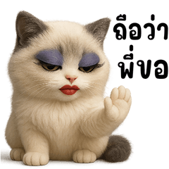 Cat Pao So Cute