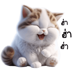 A cute, tense brown tabby cat