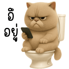 Annoying Cat but cute