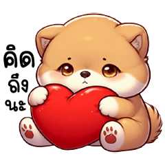 Cute little Shiba Inu puppy