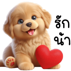 โกลเด้นน้อย ตาหลม น่ารัก