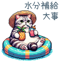 Summer cat2