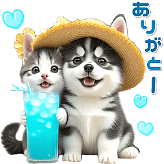 Summer heatwave Siberian husky and cat