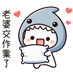 小鯊貓老婆交作業