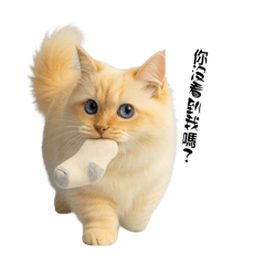 嘟嘟日常生活表情包（2）