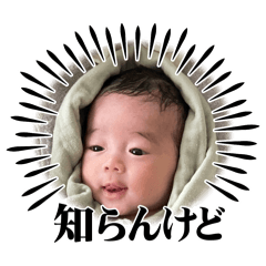 kapp_20250715191548