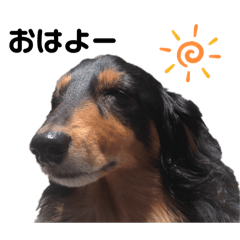 Mayumi.K_20250715215701