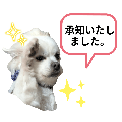ayu_20250716212831