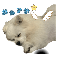 pokio_20250716194910
