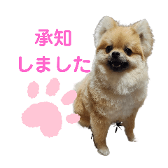 RIKU_20250716200115