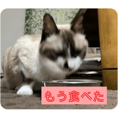 se-ya_20250716222010