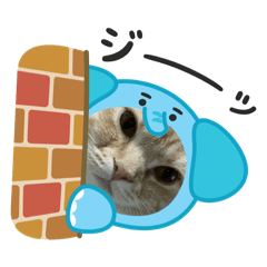 CHIHIRO_20250718023953