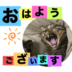 jiuri_20250717093538