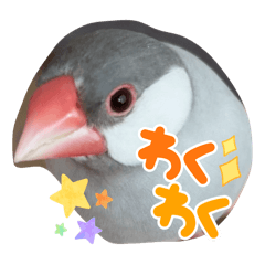 marumaru_20250717095417