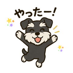 RY_20250717104525